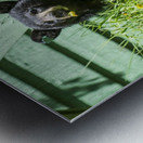 1 11 Metal print