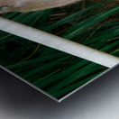 1 162 Metal print