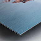 1 154 Metal print