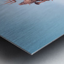 1 154 Metal print