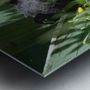 1 2a Metal print