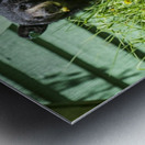 1 10 Metal print