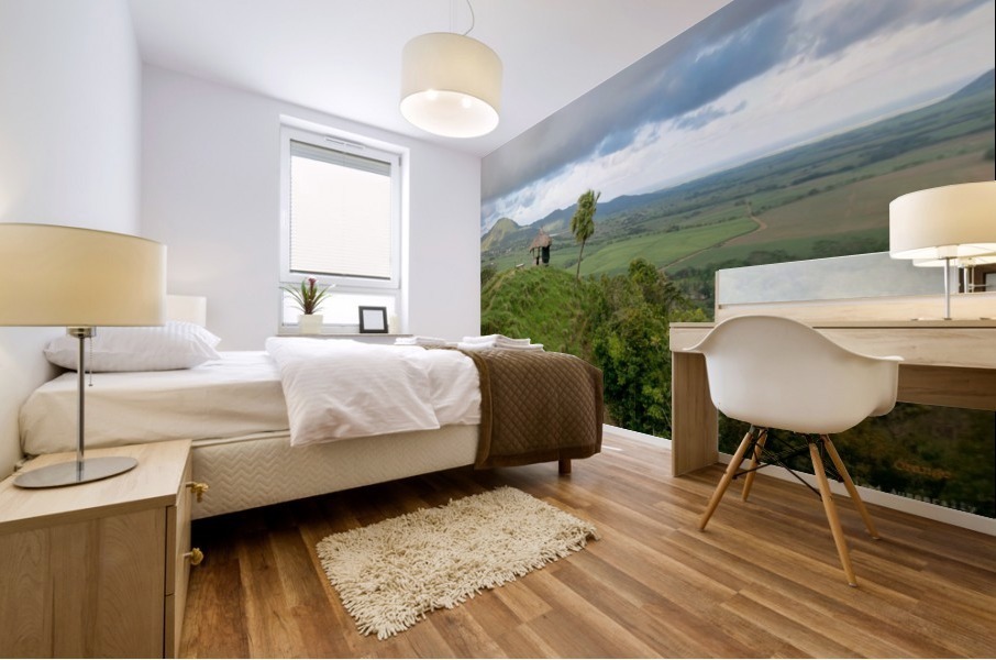 1 238 Mural print