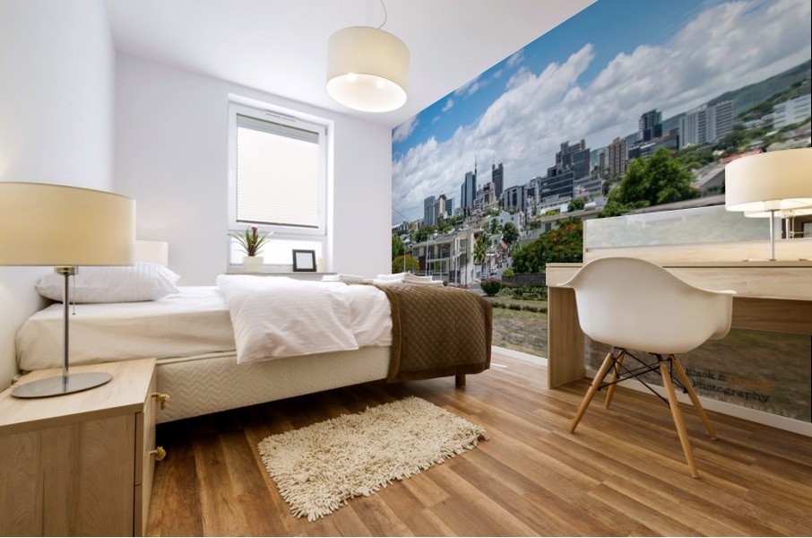 1 2 Mural print