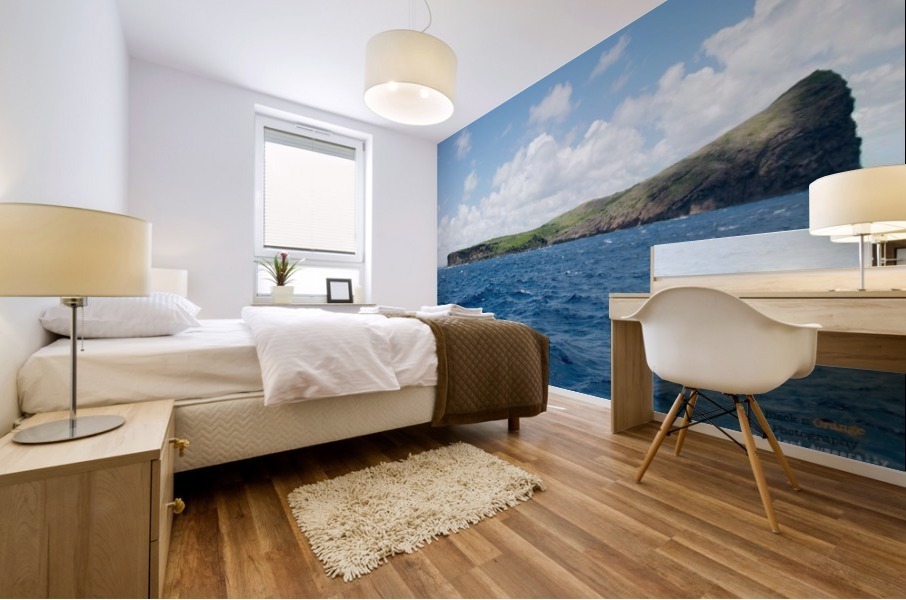 1 52 Mural print