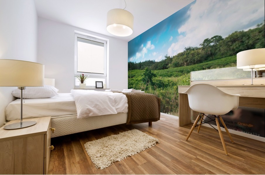 1 170 Mural print