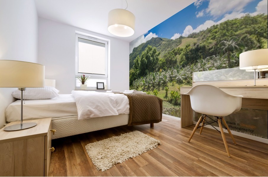 1 160 2 Mural print