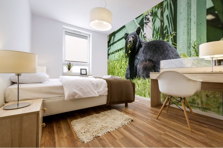 1 6 Mural print