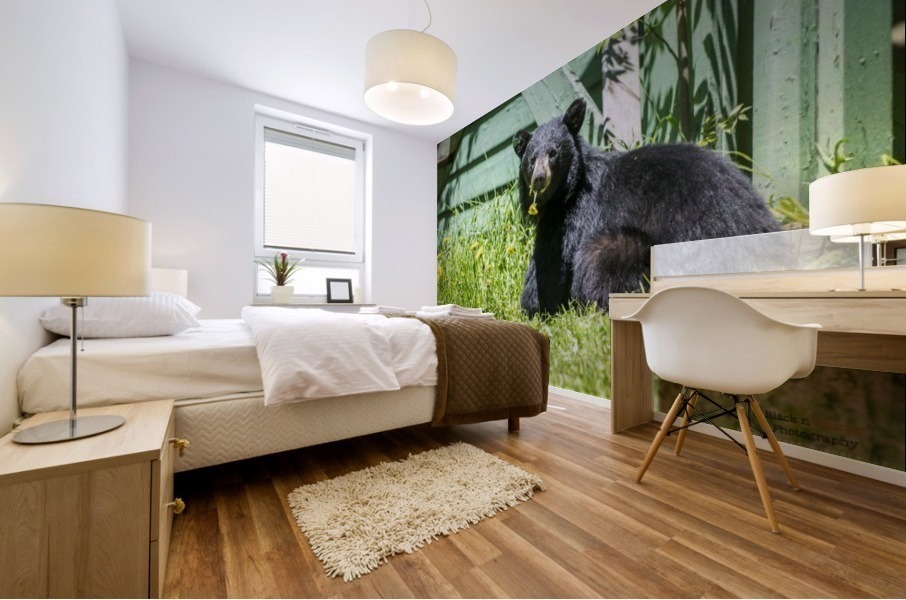 1 7a Mural print
