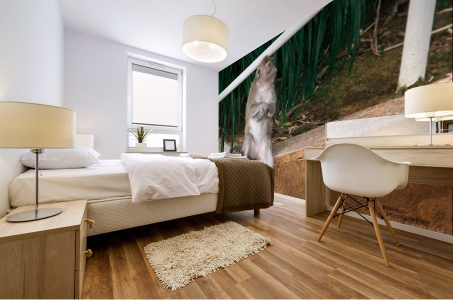 1 162 Mural print