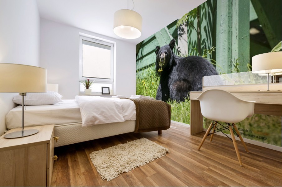 1 5 Mural print