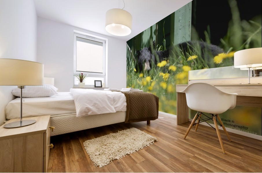 1 2a Mural print