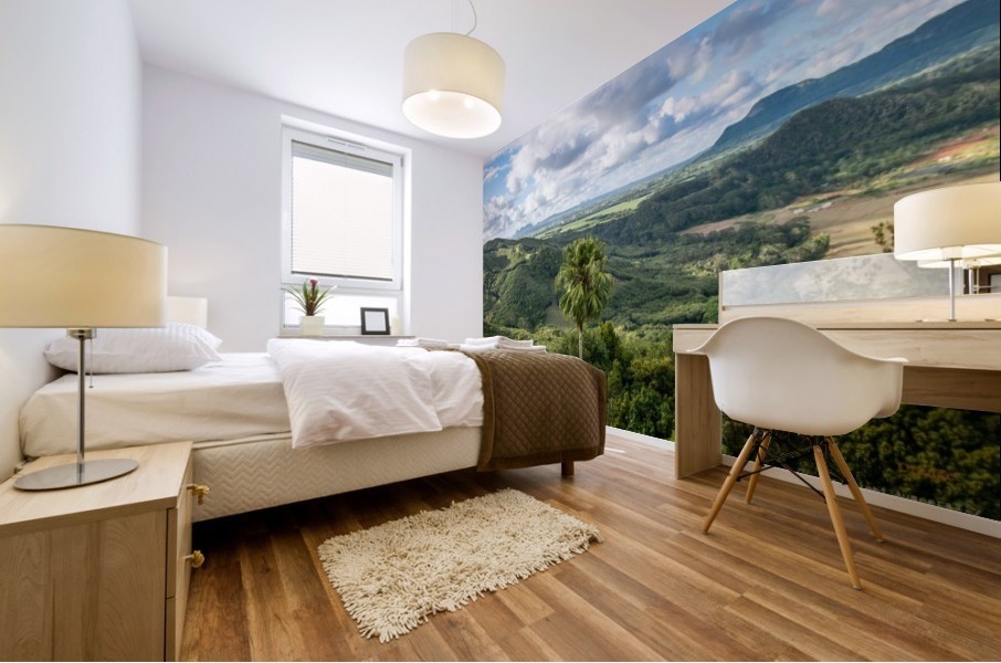 1 222 Mural print