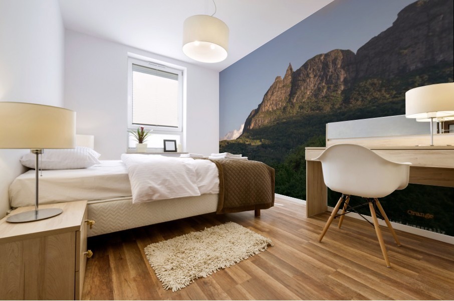 1 103 Mural print
