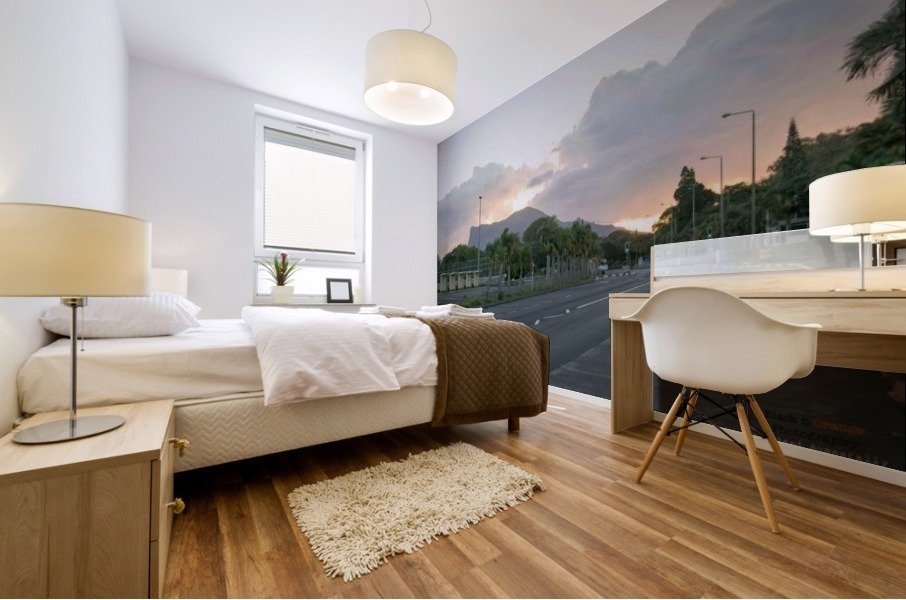 1 247 Mural print