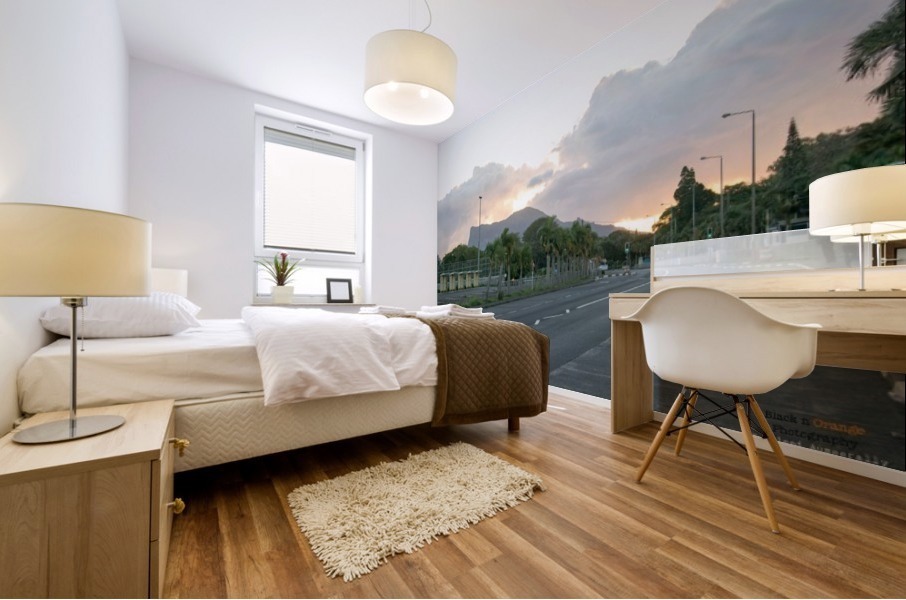 1 247 Mural print