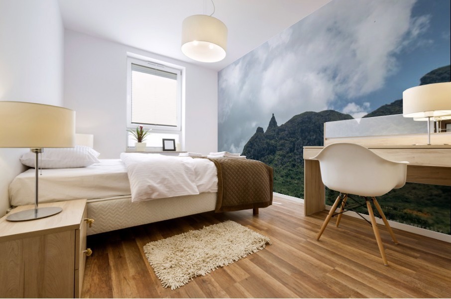 1 89 Mural print