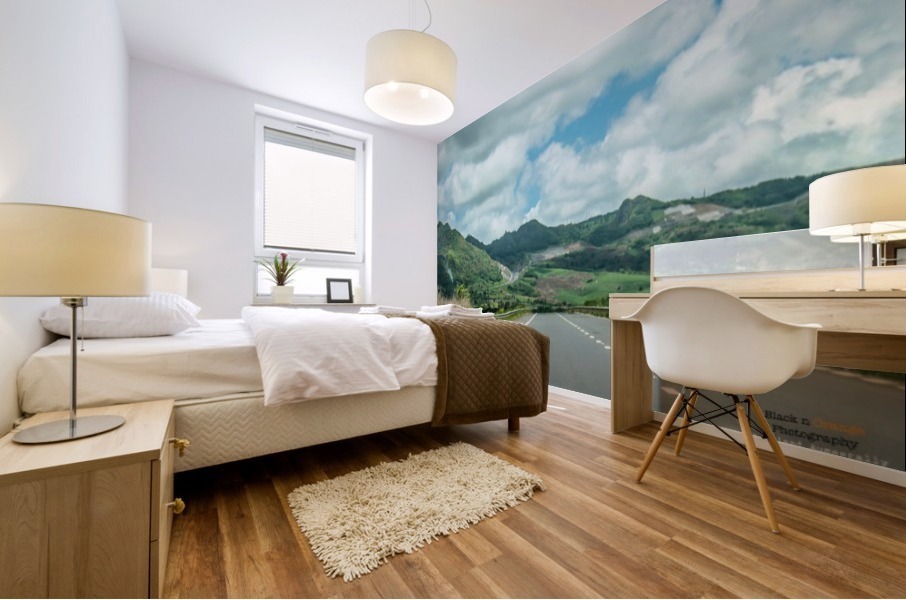 1 151 Mural print