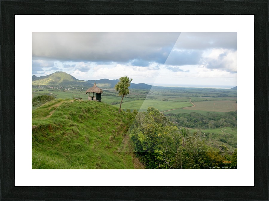 1 238 Picture Frame print