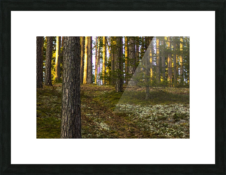 1 181 Picture Frame print