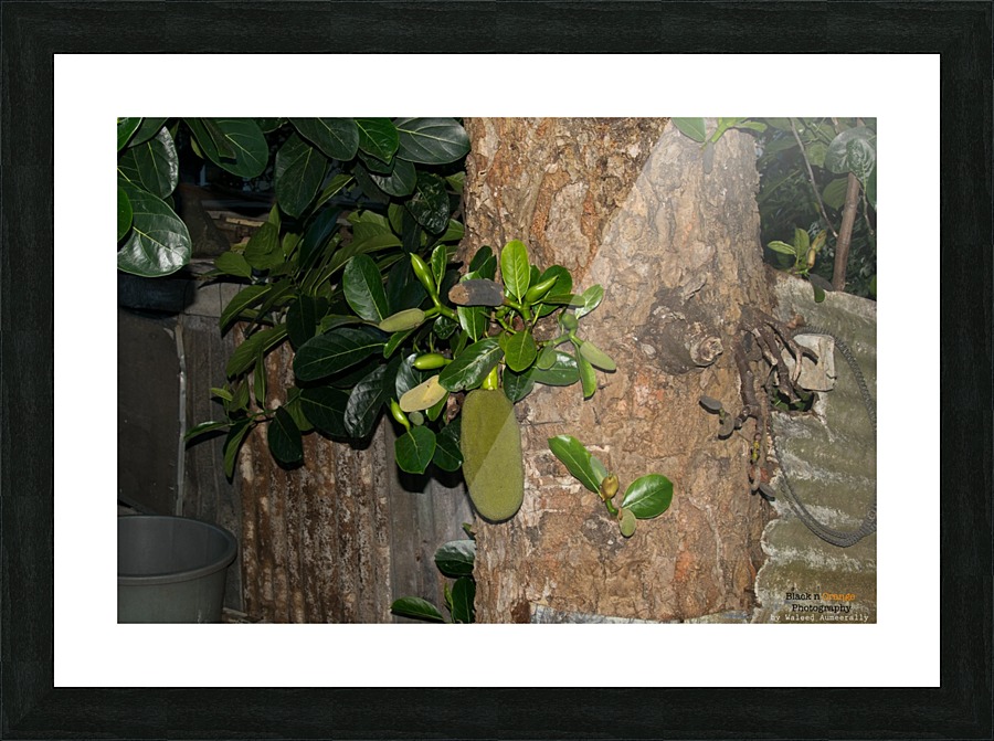 1 213 Picture Frame print