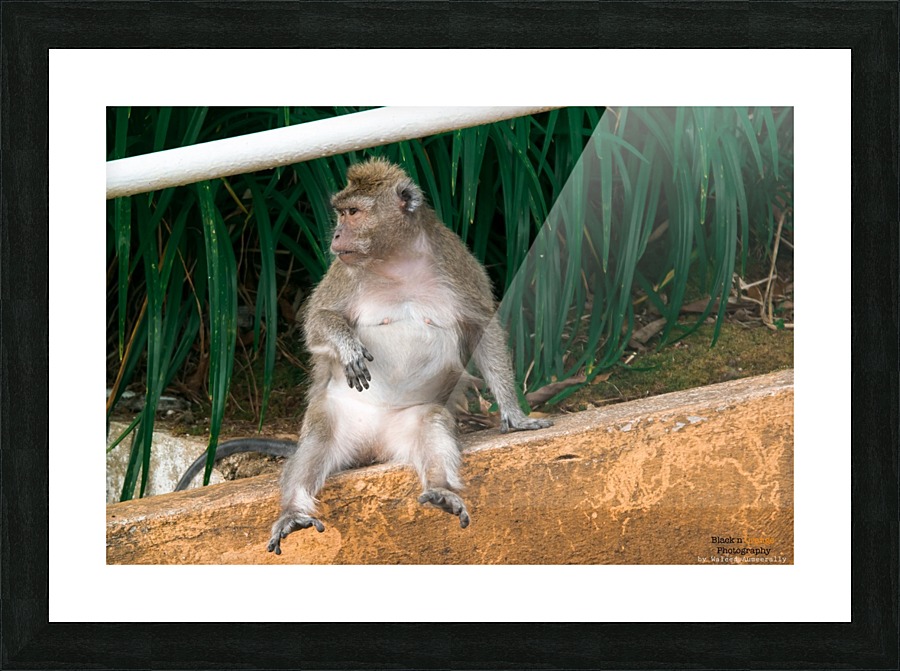 1 164 Picture Frame print