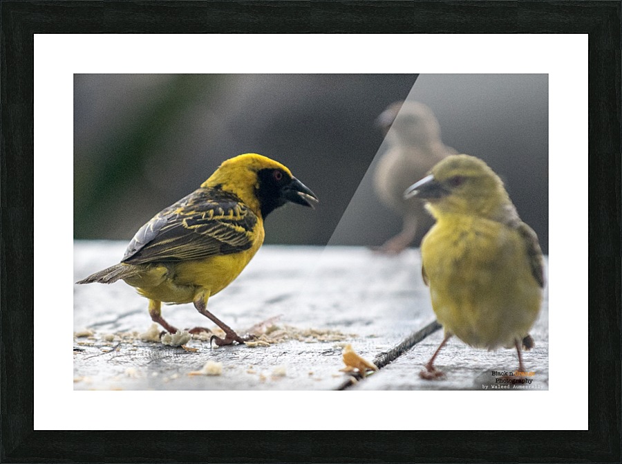 1 140 Picture Frame print
