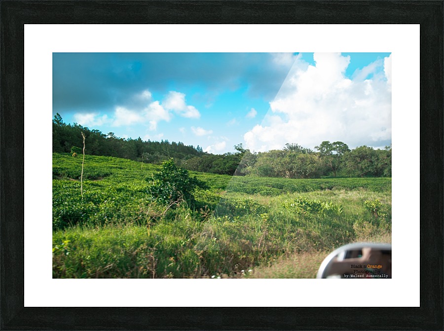 1 170 Picture Frame print