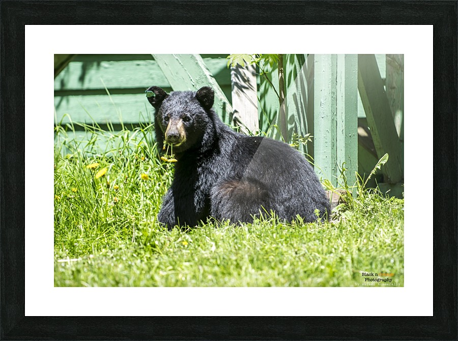 1 8 Picture Frame print