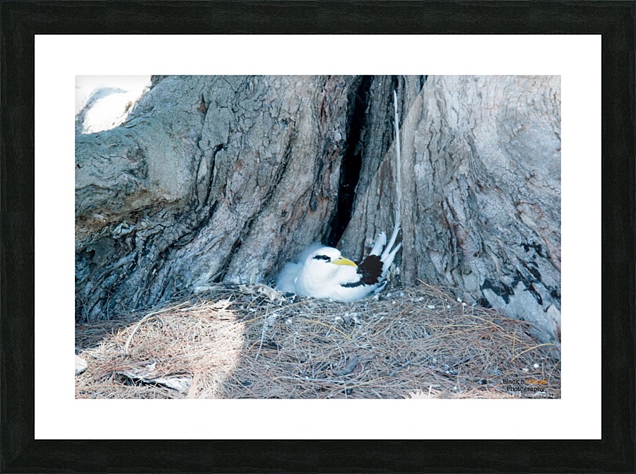 1 89 2 Picture Frame print