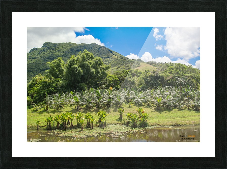 1 160 2 Picture Frame print