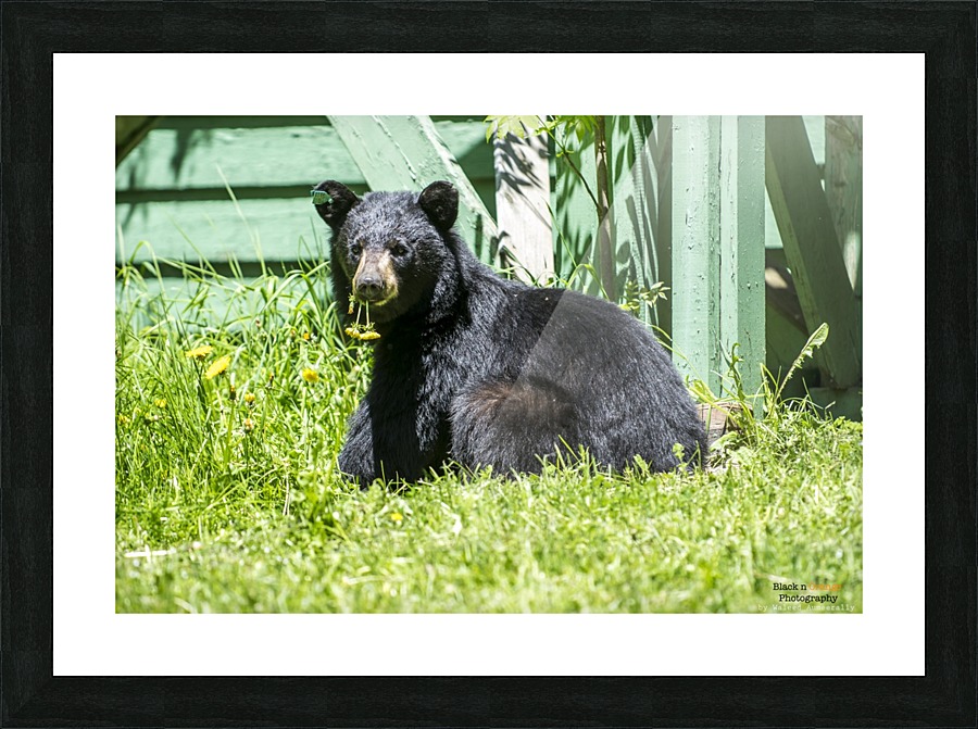 1 9 Picture Frame print