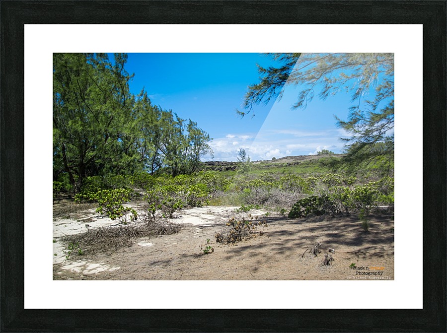 1 87 Picture Frame print