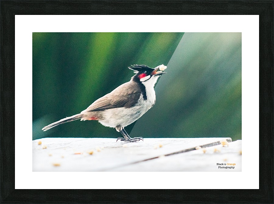 1 128 Picture Frame print