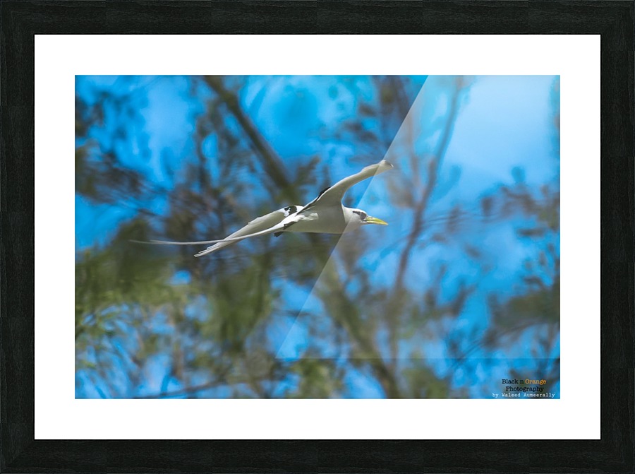 1 102 Picture Frame print