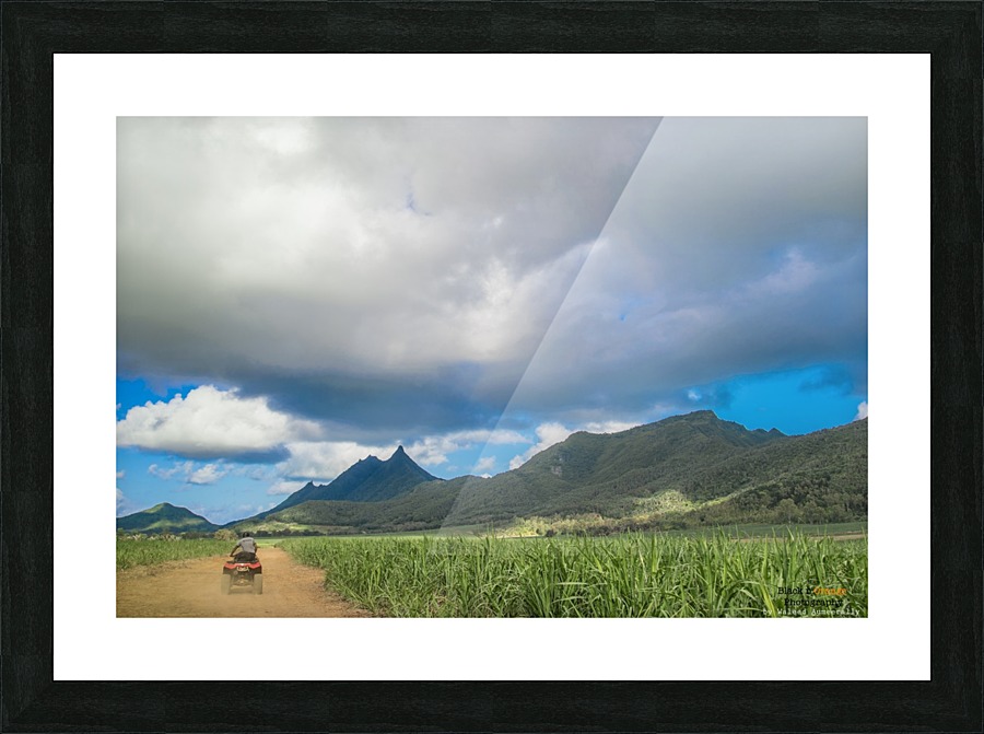 1 188 Picture Frame print