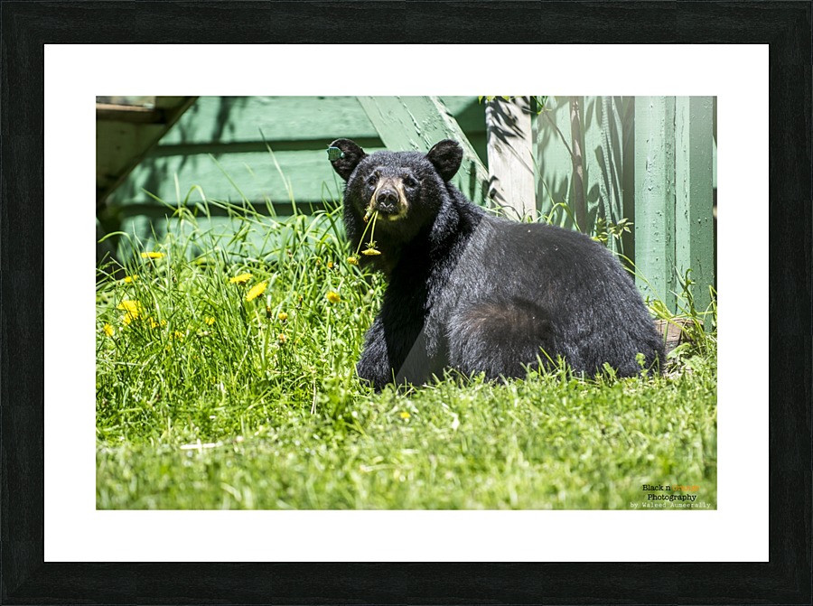 1 4 Picture Frame print