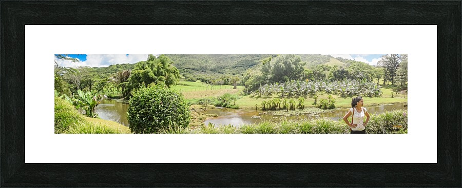 1 158 Picture Frame print
