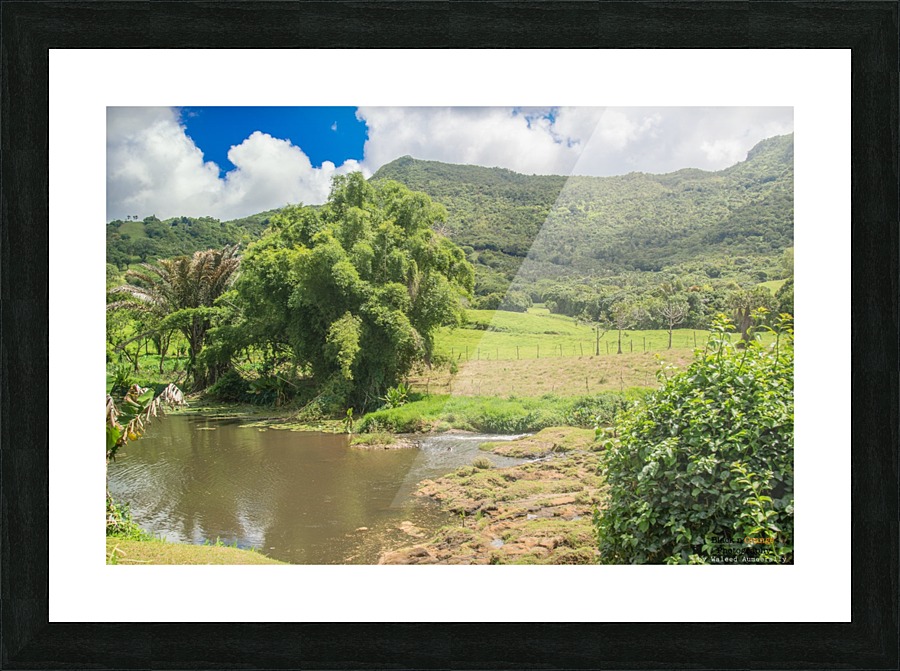 1 159 Picture Frame print