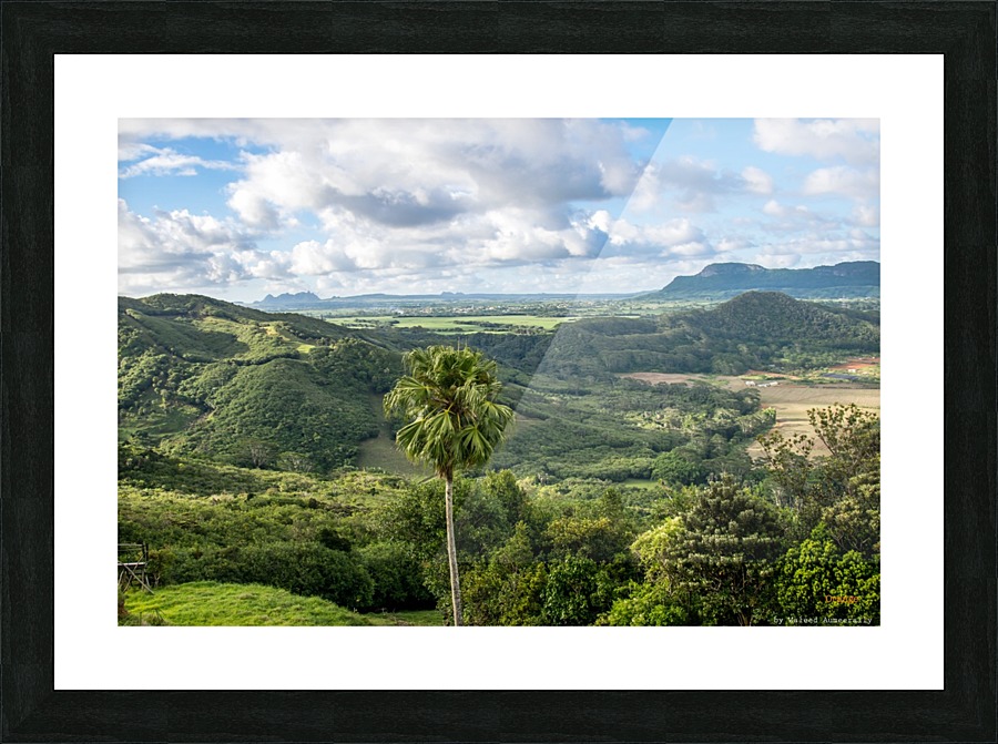 1 222 Picture Frame print