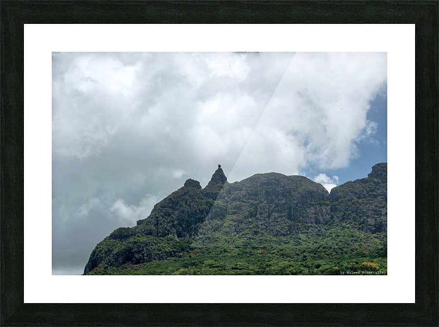  Fine Art print