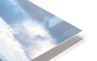 1 238 HD Metal print