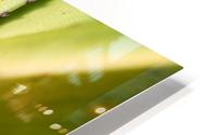 1 175 HD Metal print