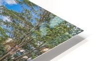 1 162 2 HD Metal print