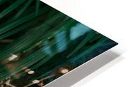 1 164 HD Metal print