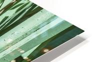 1 6 HD Metal print