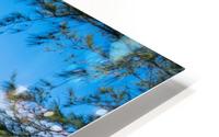 1 87 HD Metal print