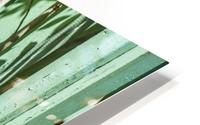 1 7a HD Metal print