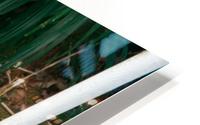 1 162 HD Metal print