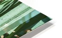 1 5 HD Metal print